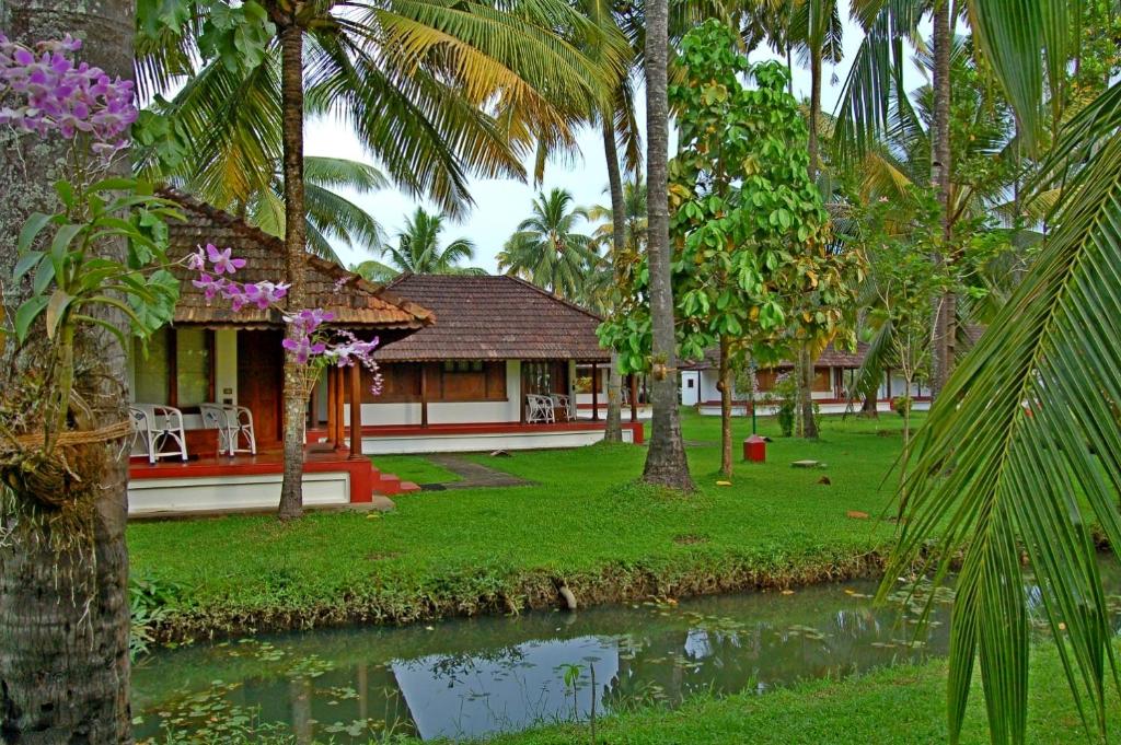 Coconut Lagoon