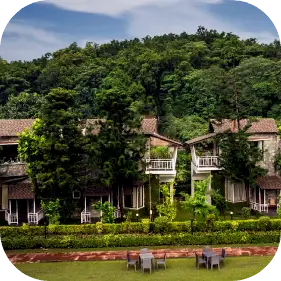 Jaagar the Spirit of Corbett